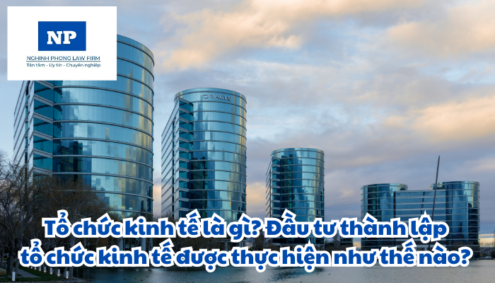 Tổ chức kinh tế là gì? Đầu tư thành lập tổ chức kinh tế được thực hiện như thế nào?