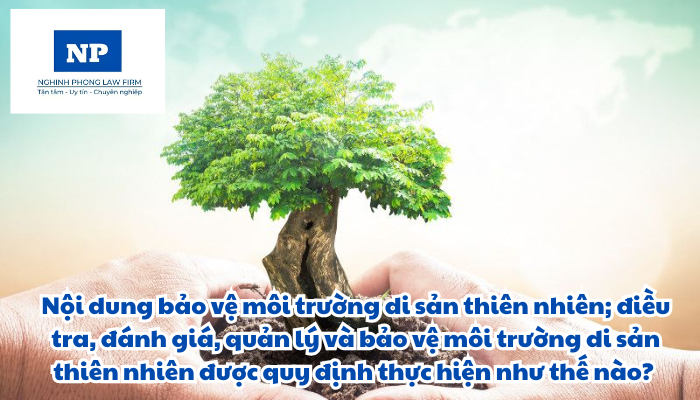 Nội dung bảo vệ môi trường di sản thiên nhiên; điều tra, đánh giá, quản lý và bảo vệ môi trường di sản thiên nhiên được quy định thực hiện như thế nào?