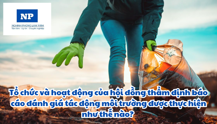 Tổ chức và hoạt động của hội đồng thẩm định báo cáo đánh giá tác động môi trường được thực hiện như thế nào?