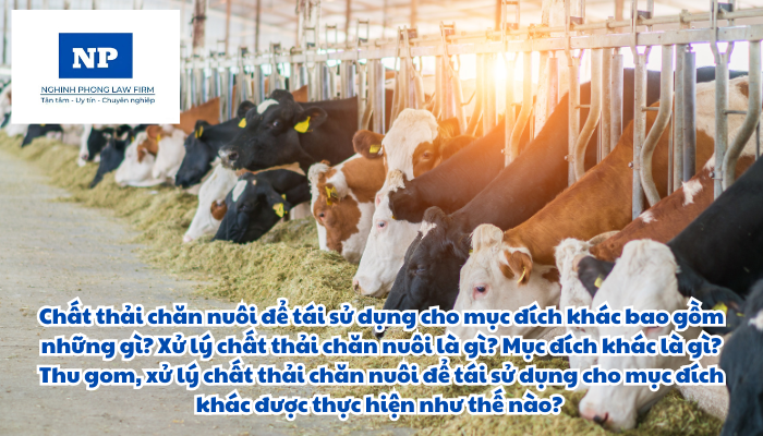 Chất thải chăn nuôi để tái sử dụng cho mục đích khác bao gồm những gì? Xử lý chất thải chăn nuôi là gì? Mục đích khác là gì? Thu gom, xử lý chất thải chăn nuôi để tái sử dụng cho mục đích khác được thực hiện như thế nào?