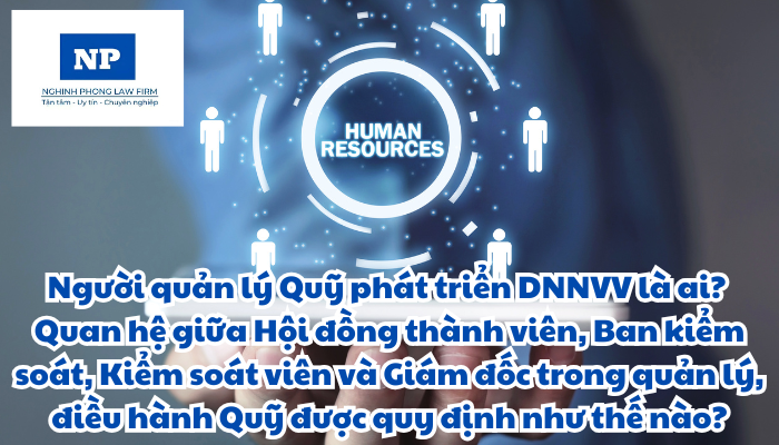 Người quản lý Quỹ là ai? Quan hệ giữa Hội đồng thành viên, Ban kiểm soát, Kiểm soát viên và Giám đốc trong quản lý, điều hành Quỹ Phát triển doanh nghiệp nhỏ và vừa được quy định như thế nào?