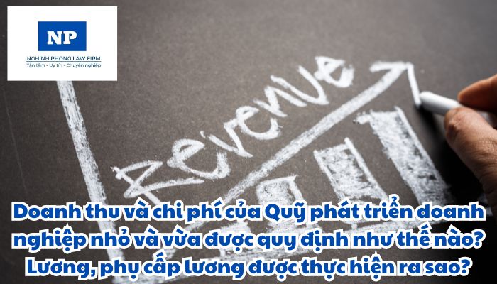 Doanh thu và chi phí của Quỹ phát triển doanh nghiệp nhỏ và vừa được quy định như thế nào? Lương, phụ cấp lương được thực hiện ra sao?
